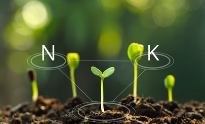 Удобрения азотные «Раслин»