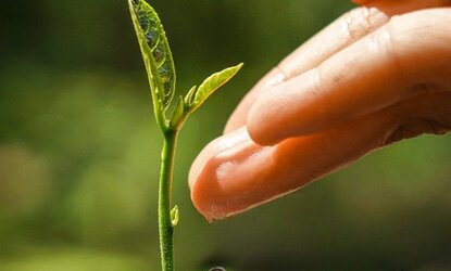 Удобрения калийные «Раслин»