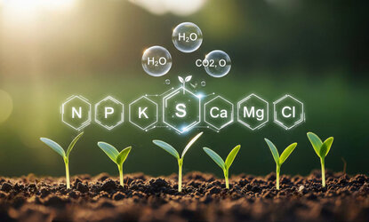 Удобрения комплексные «Раслин»