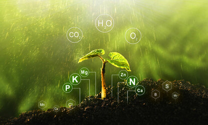 Микроудобрения «Раслин»