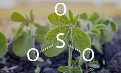 Удобрения серные «Раслин»